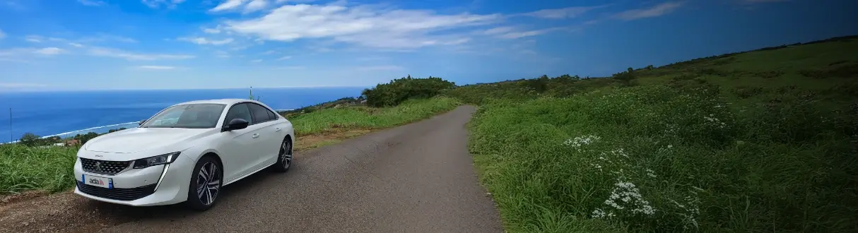 Catégorie Grande